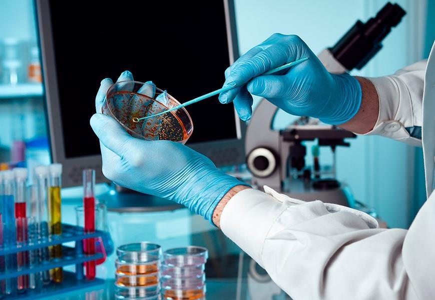 Análises Microbiológicas